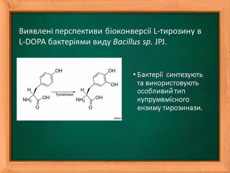 Бактерії  синтезують та використовують особливий тип купрумвмісного ензиму тирозинази.  Виявлені перспективи біоконверсії
